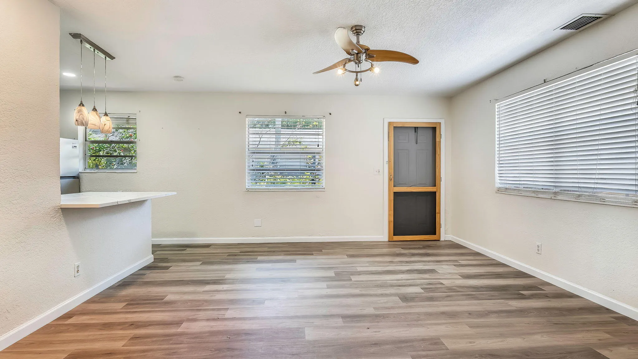 Living and Kitchen