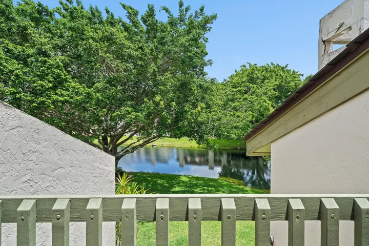 Primary view