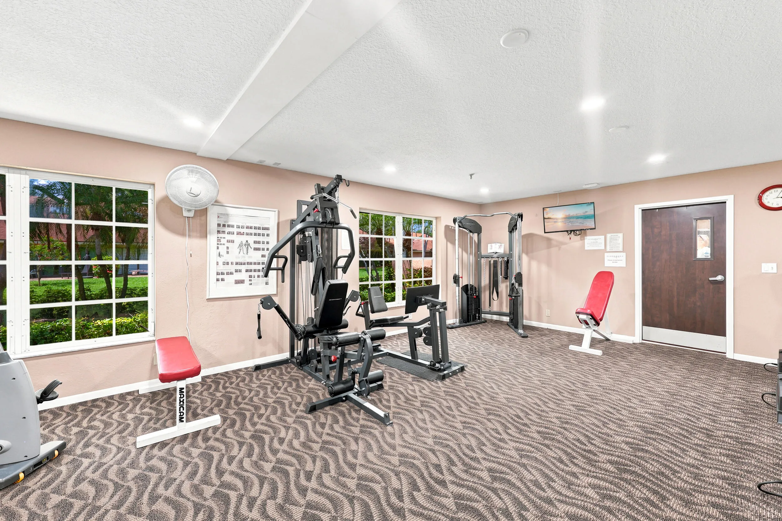 fitness
