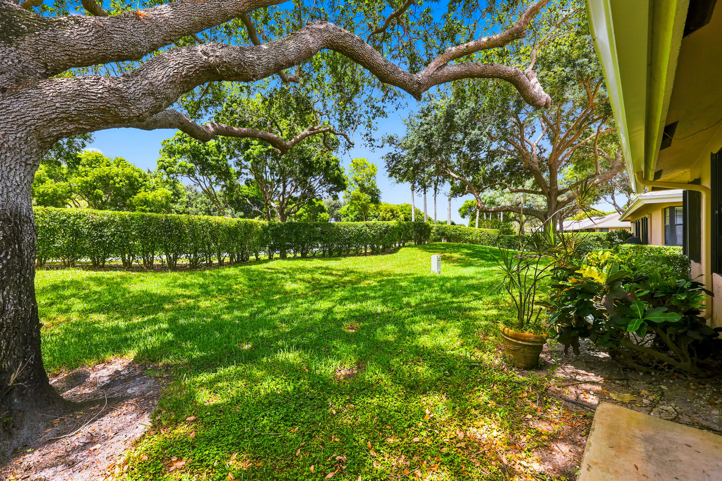 backyard view