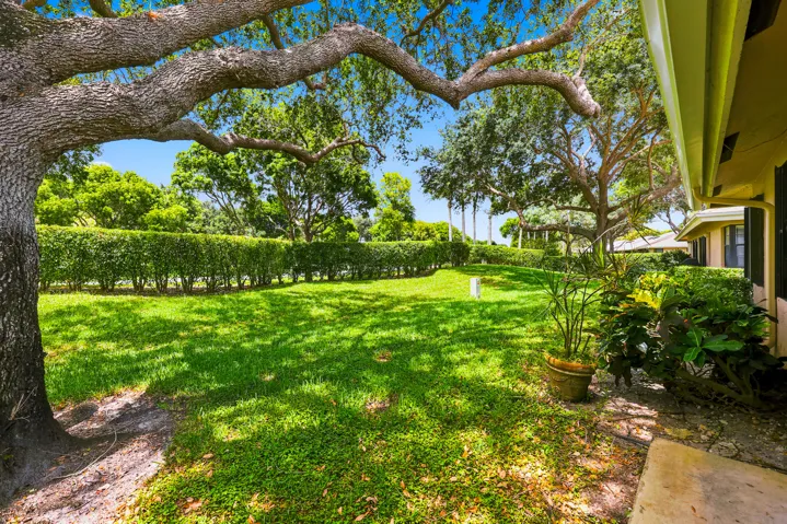 backyard view