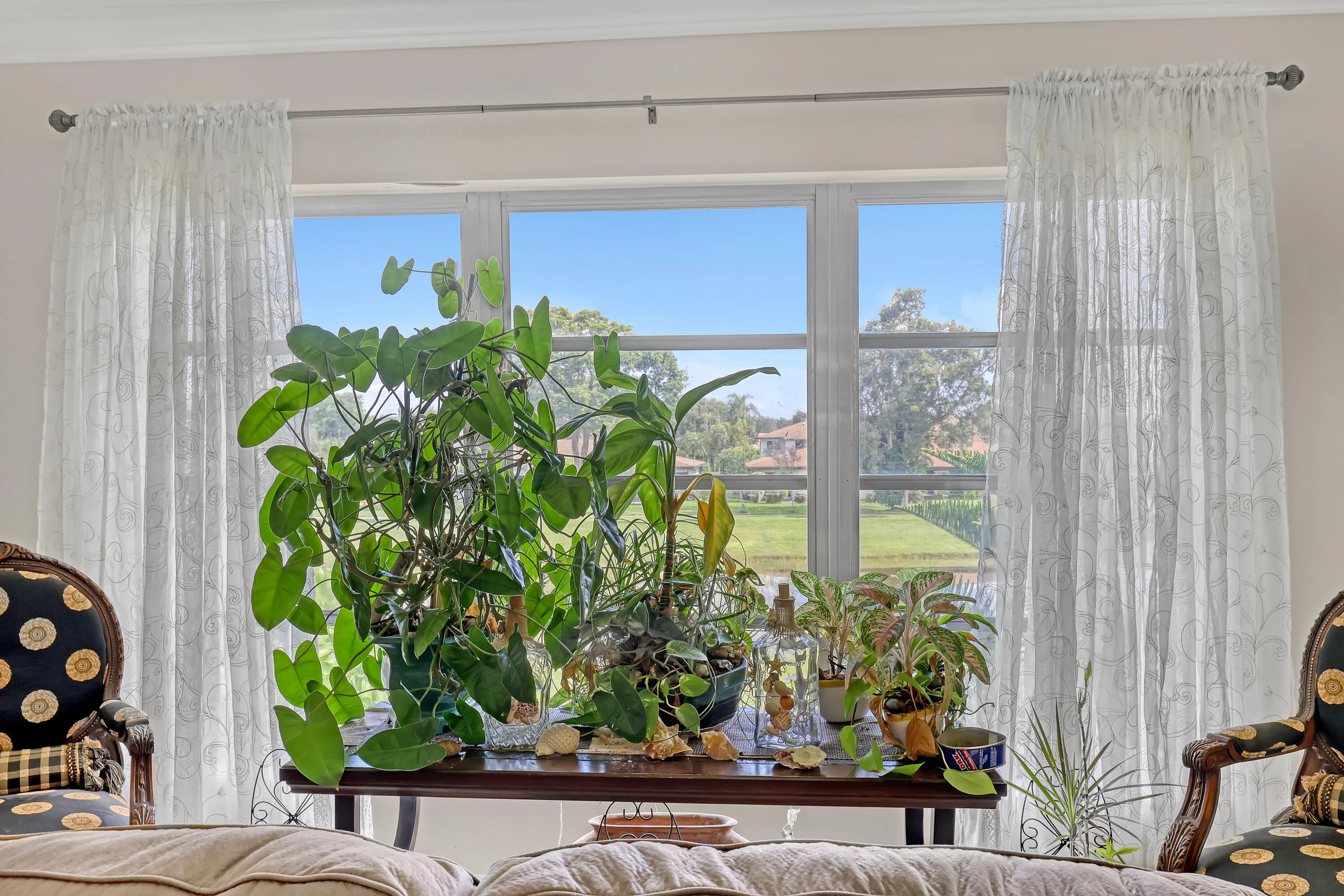 Expansive window framing a tranquil outdoor setting