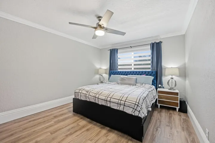 Zebra Blinds