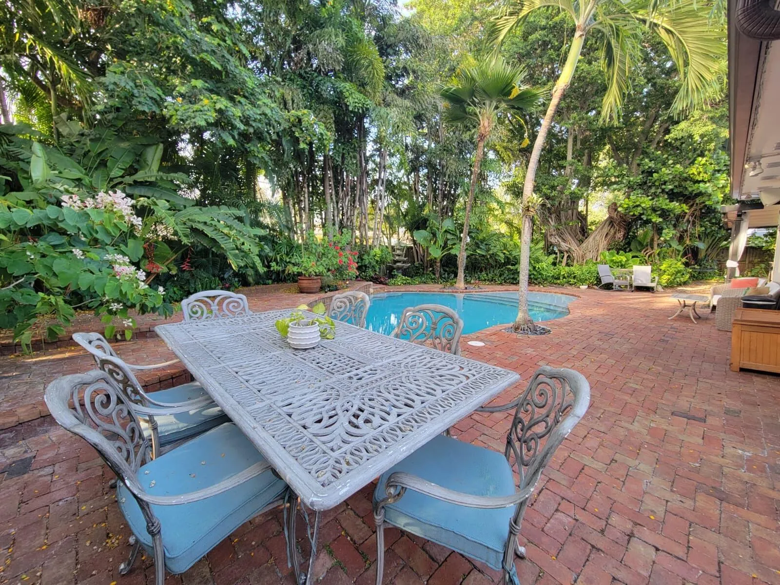 Backyard and Pool