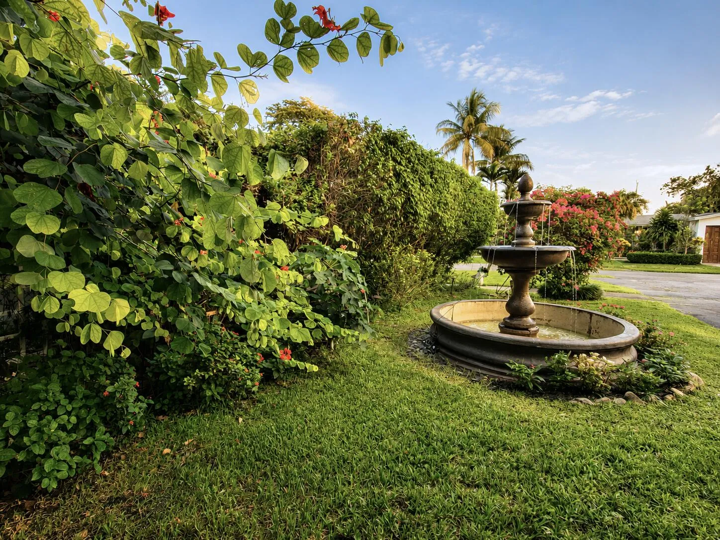 Fountain and Front Yard