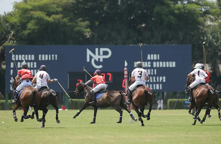 Polo