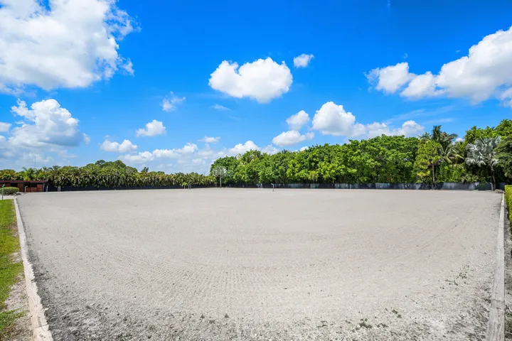 open arena
