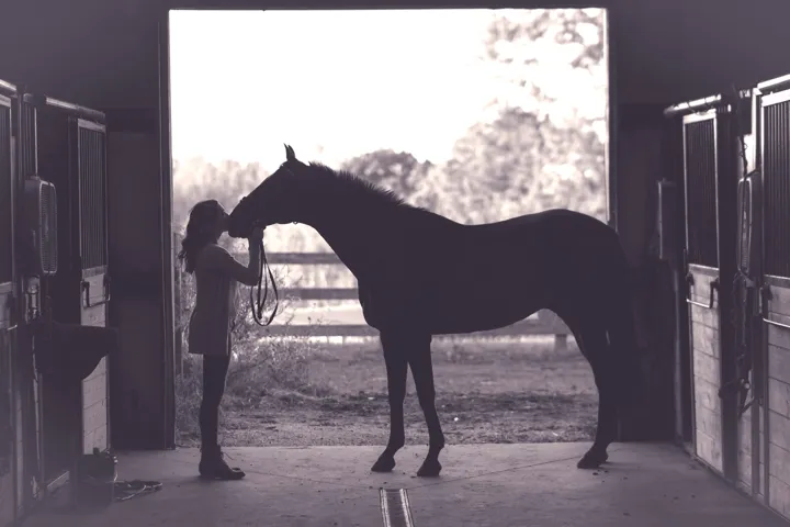 Equestrian