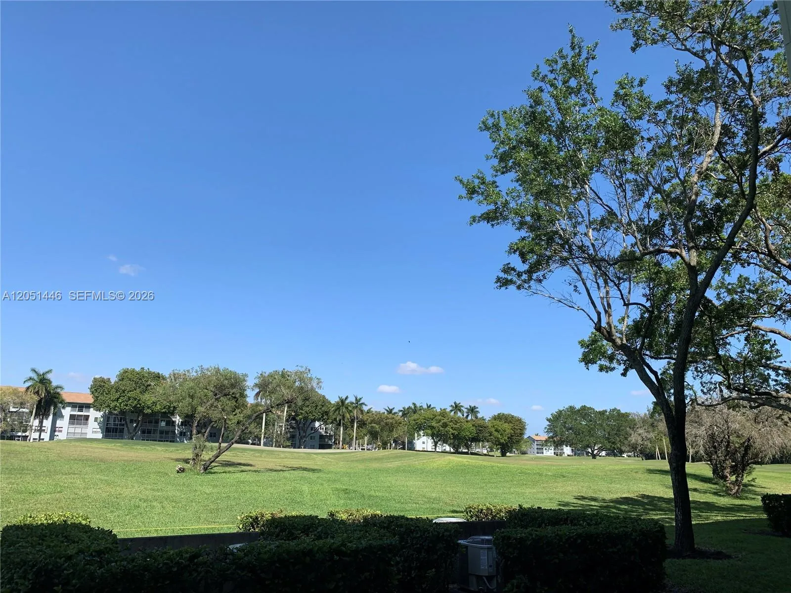 Actual view