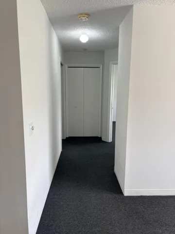HALLWAY HAS 2 CLOSETS