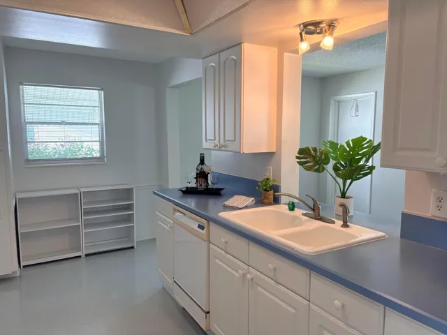 DOUBLE SINK, GOOD SIZE COUNTER TOPS