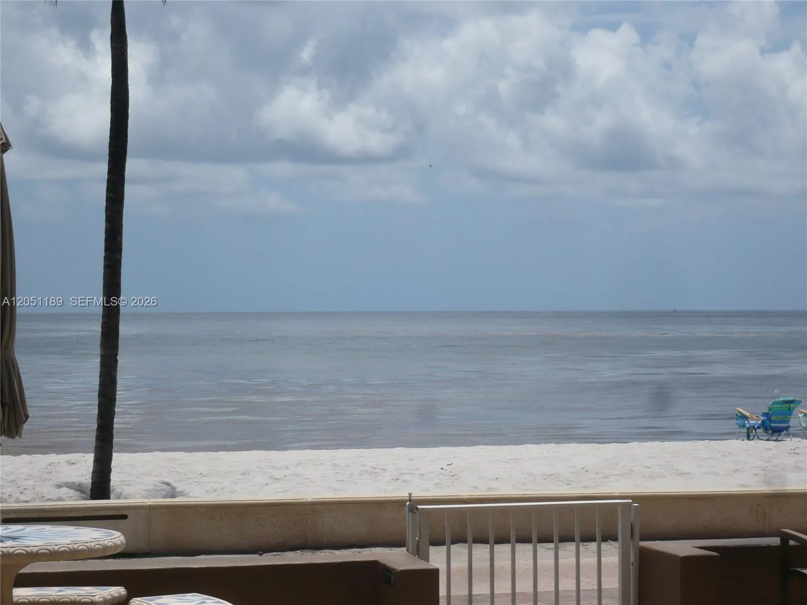 FRONT WINDOW VIEW