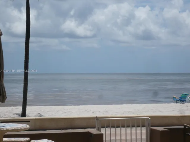 FRONT WINDOW VIEW