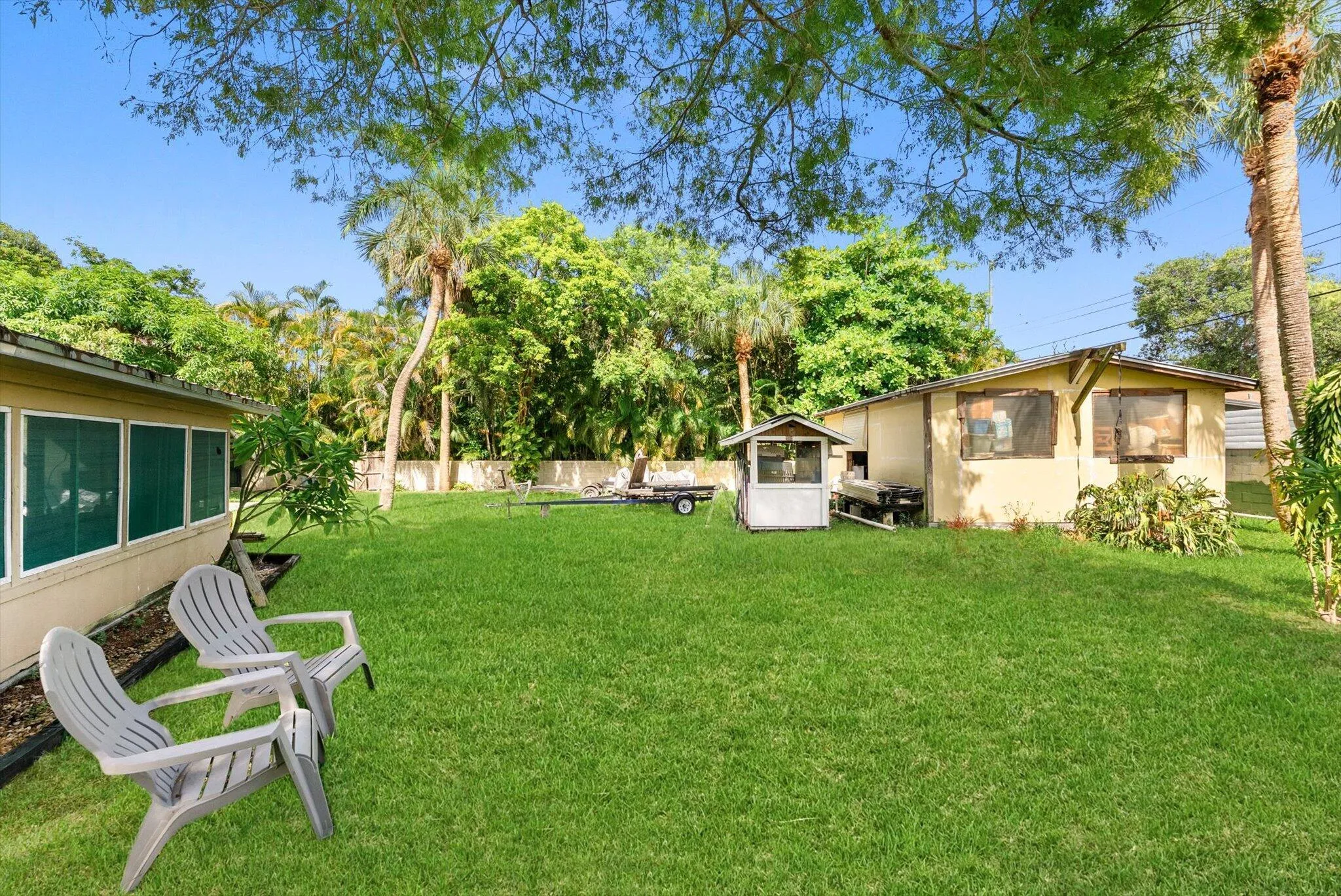 Back Yard