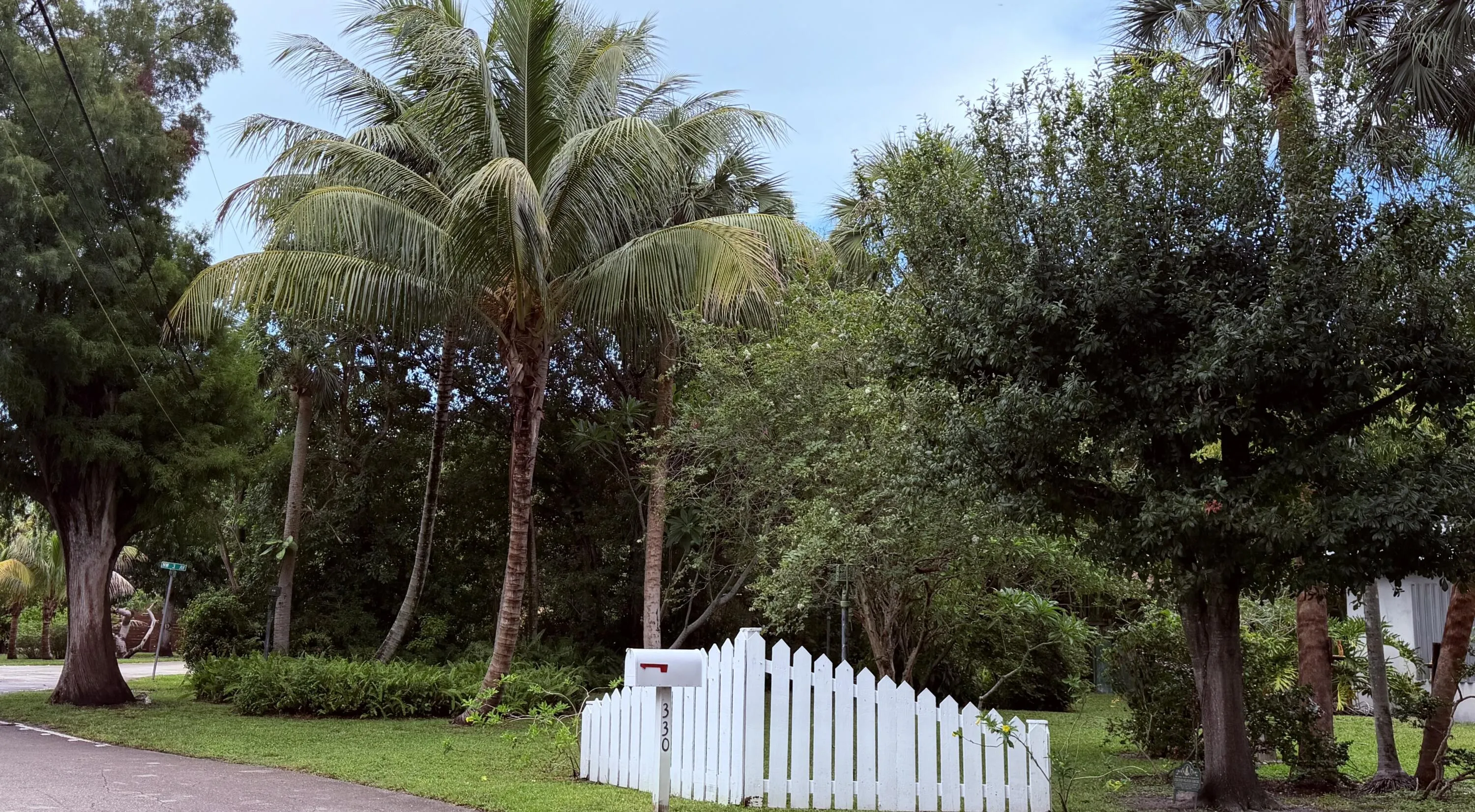 Front Yard