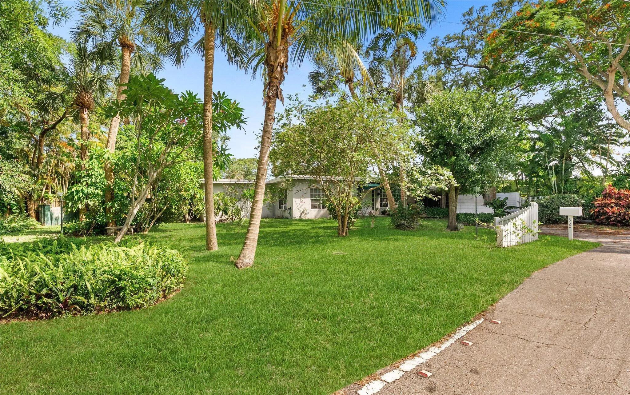 Front Yard