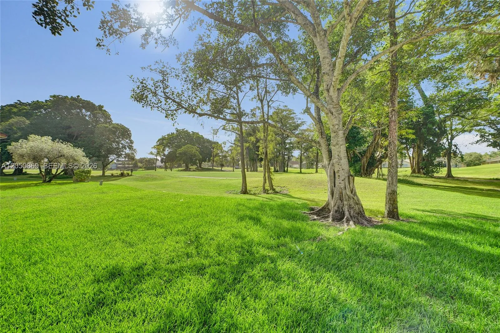 Lush Green Views From Your Windows!