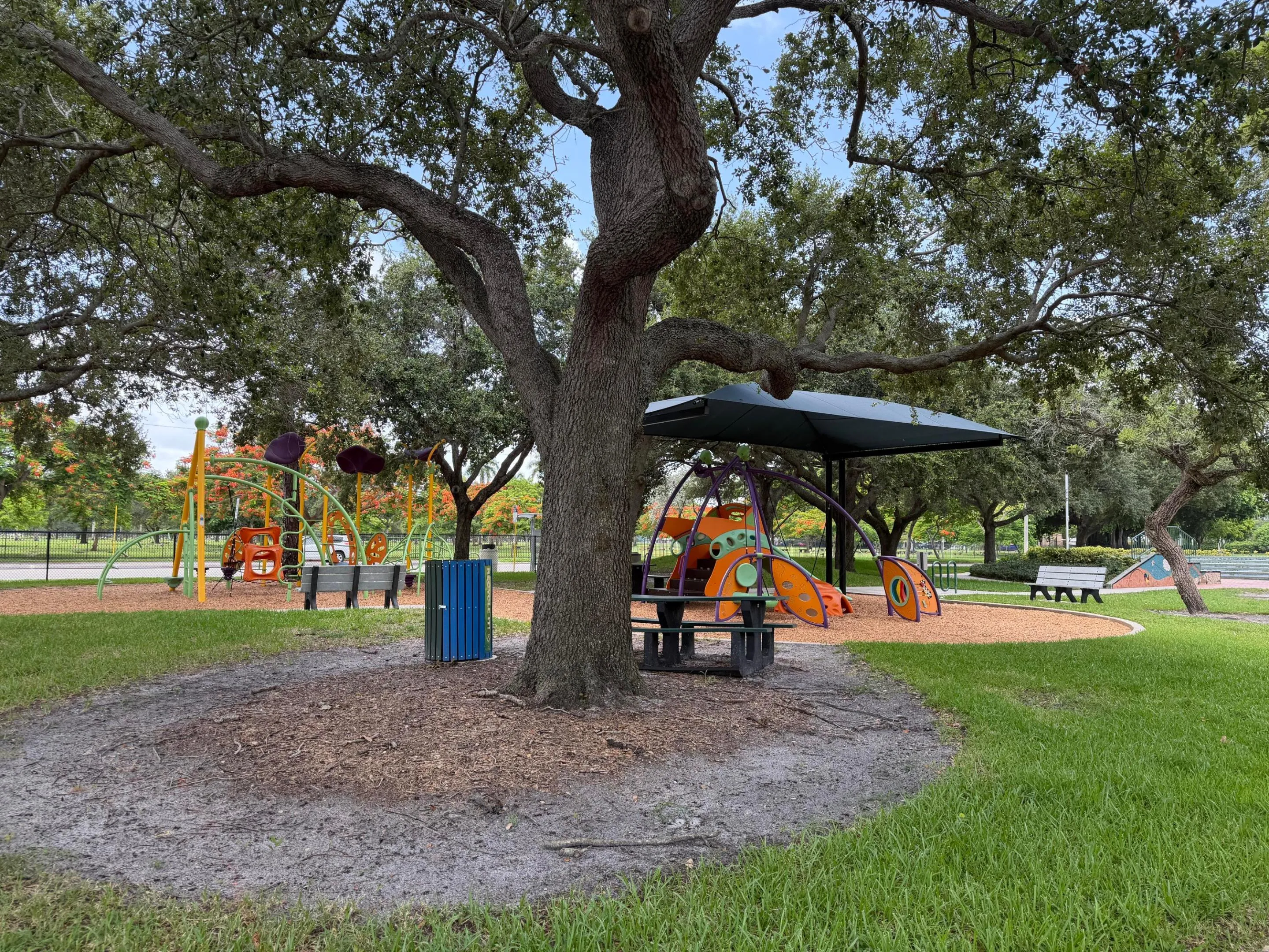 IMG_5455
