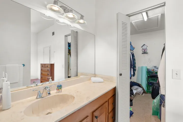 Primary Bathroom & Closet