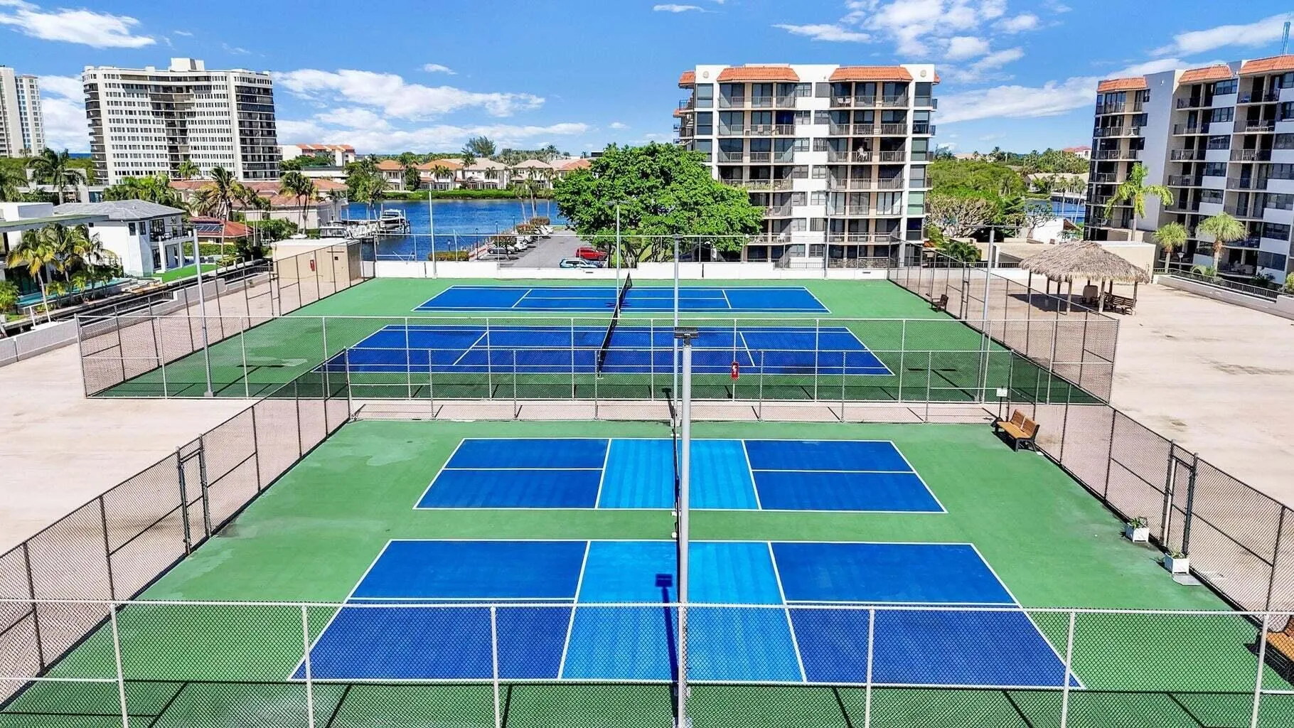 PB pickleball and Tennis pic