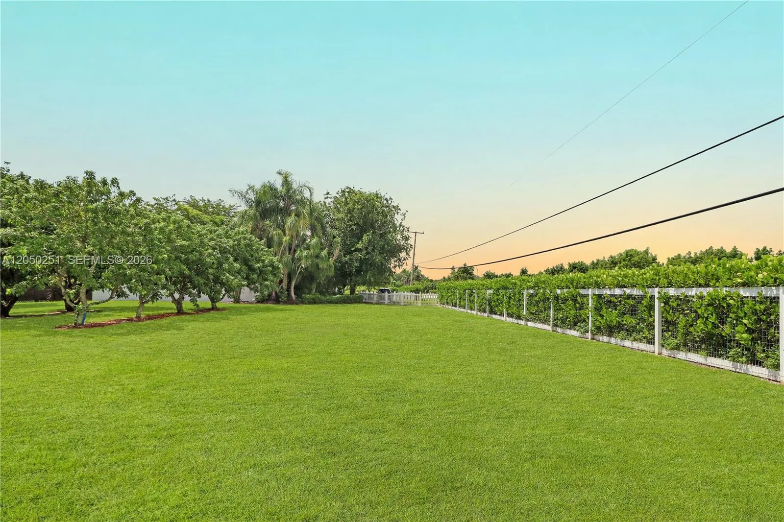 Property photo 35