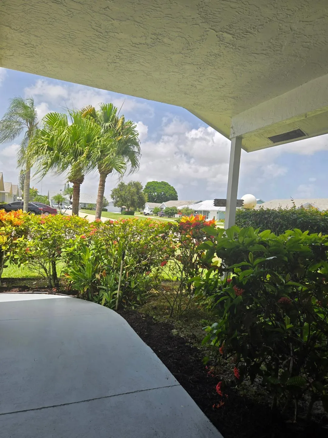View From Porch