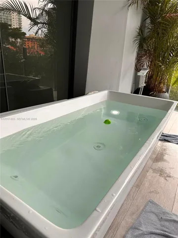 Cold Plunge