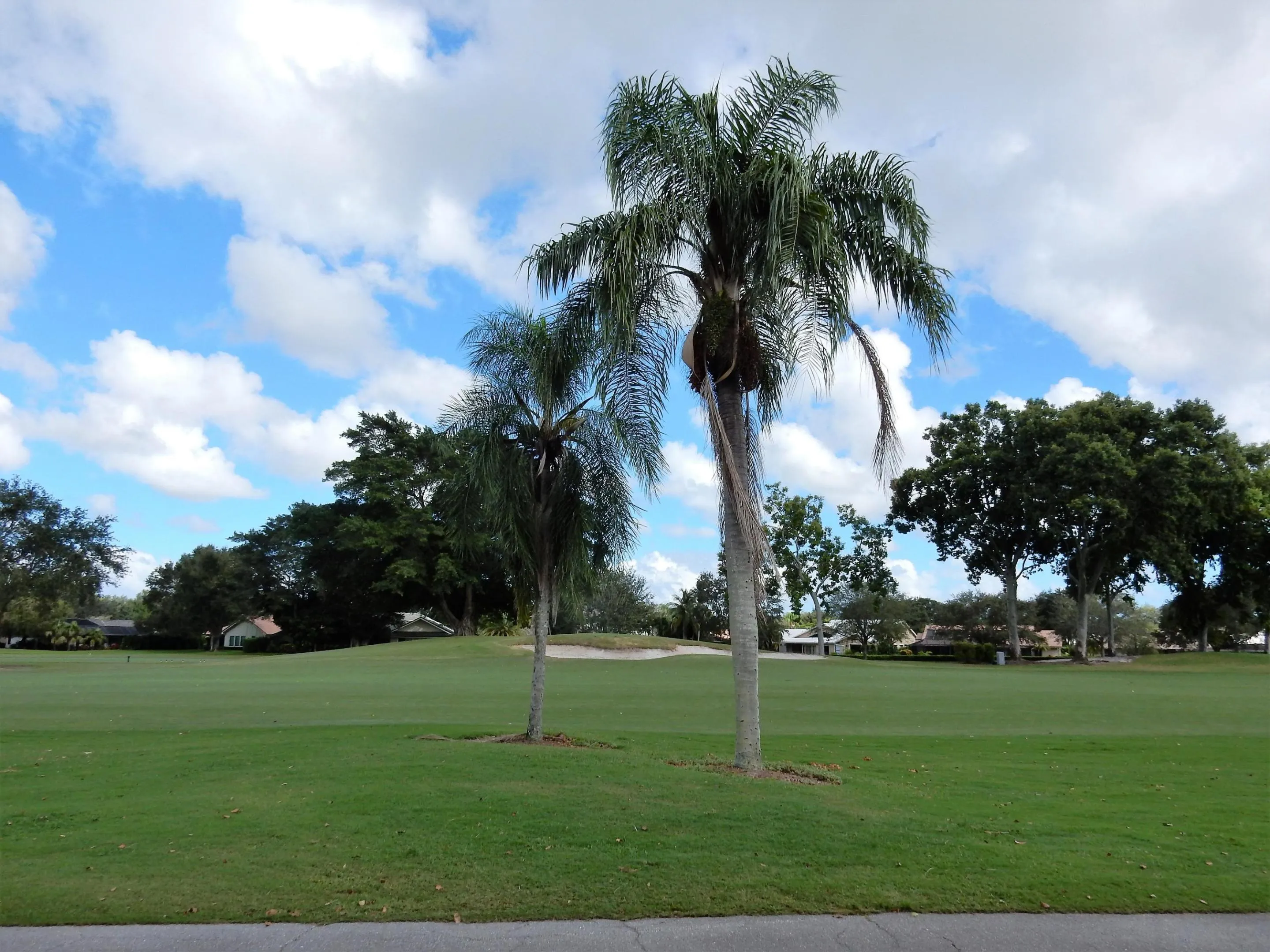 View from Scr Patio
