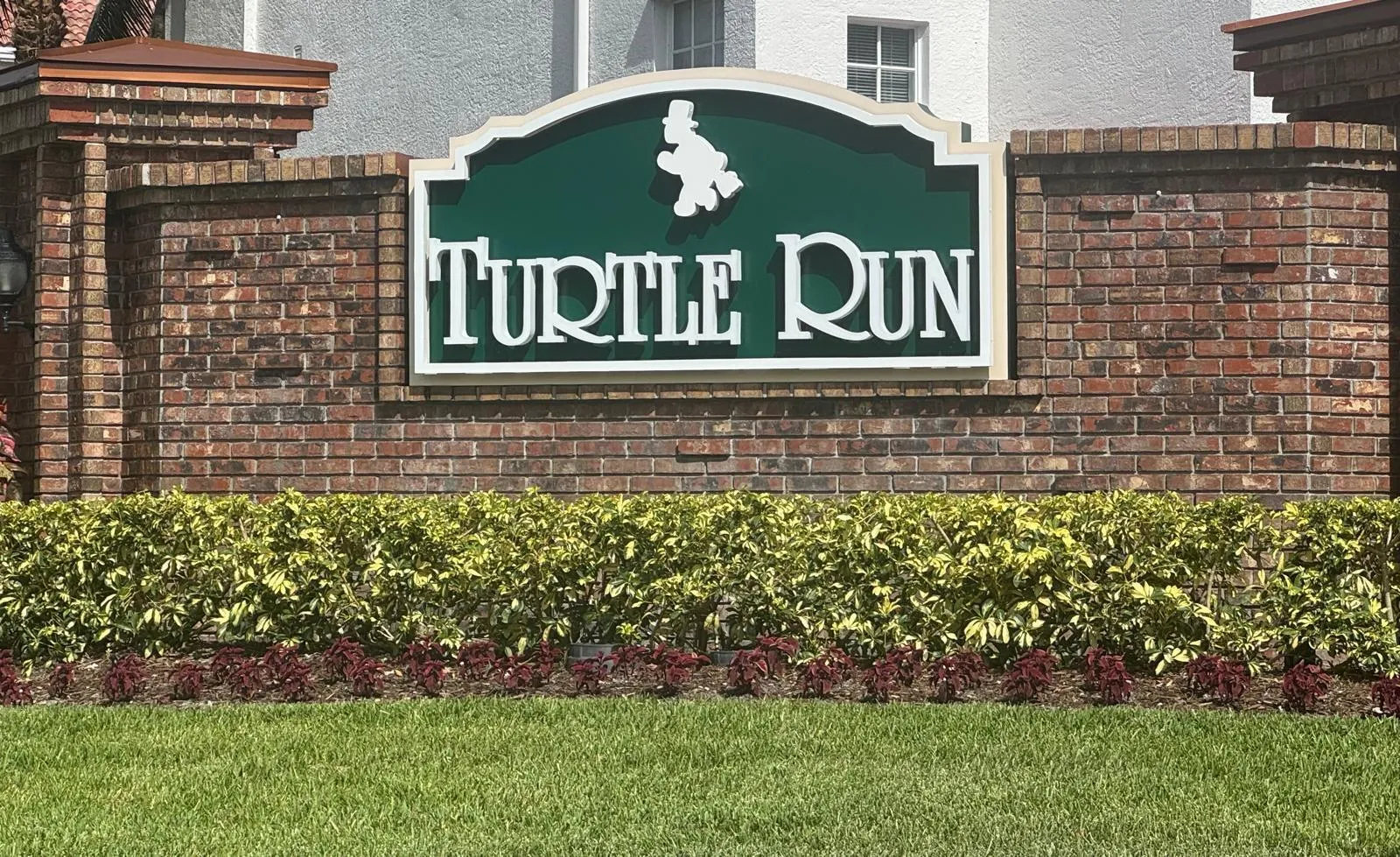 Turtle Run