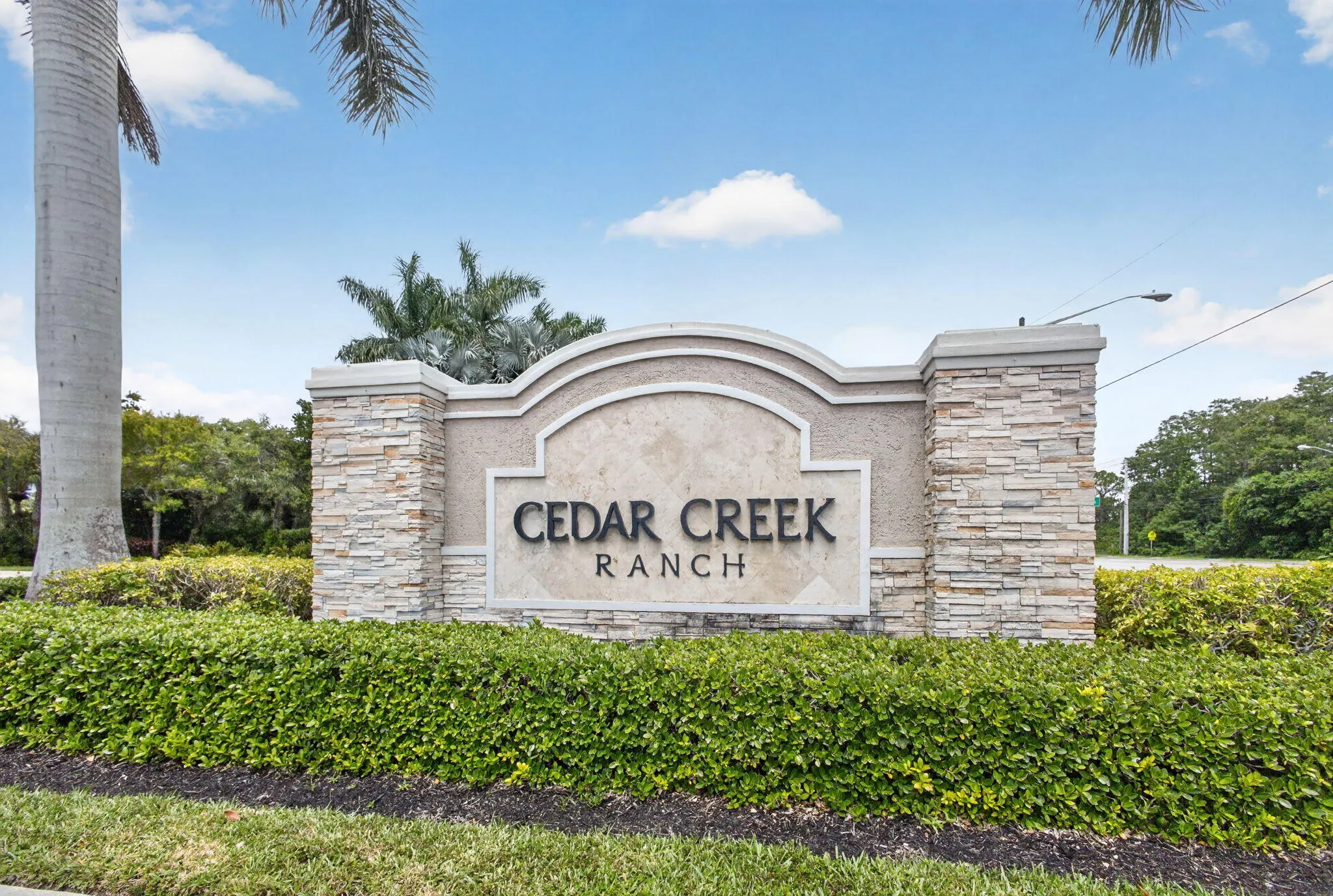 76-web-or-mls-5D1A5294