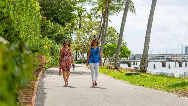 Paved waterfront walkway bordered by lush foliage and a grassy expanse, featuring mature palm trees and distant bridge structures