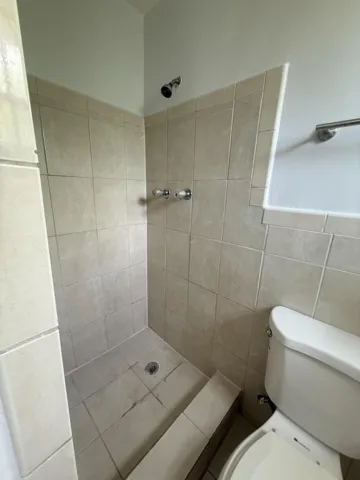 Guest Shower