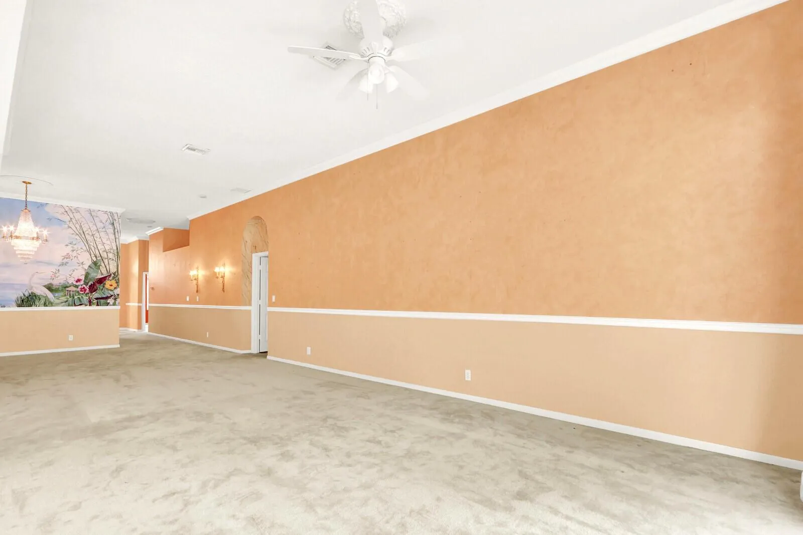 Entertainment Area