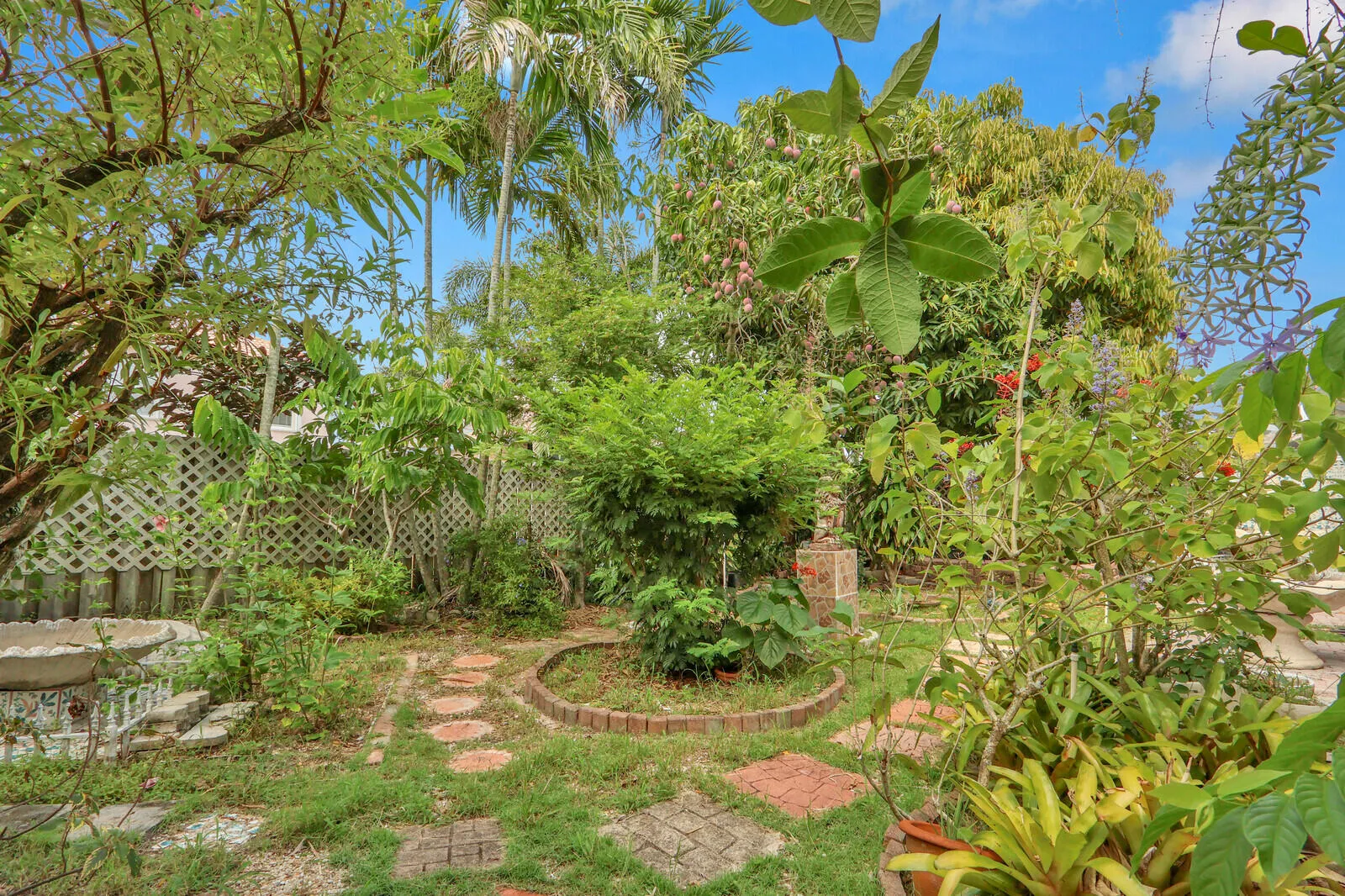 Spacious Backyard