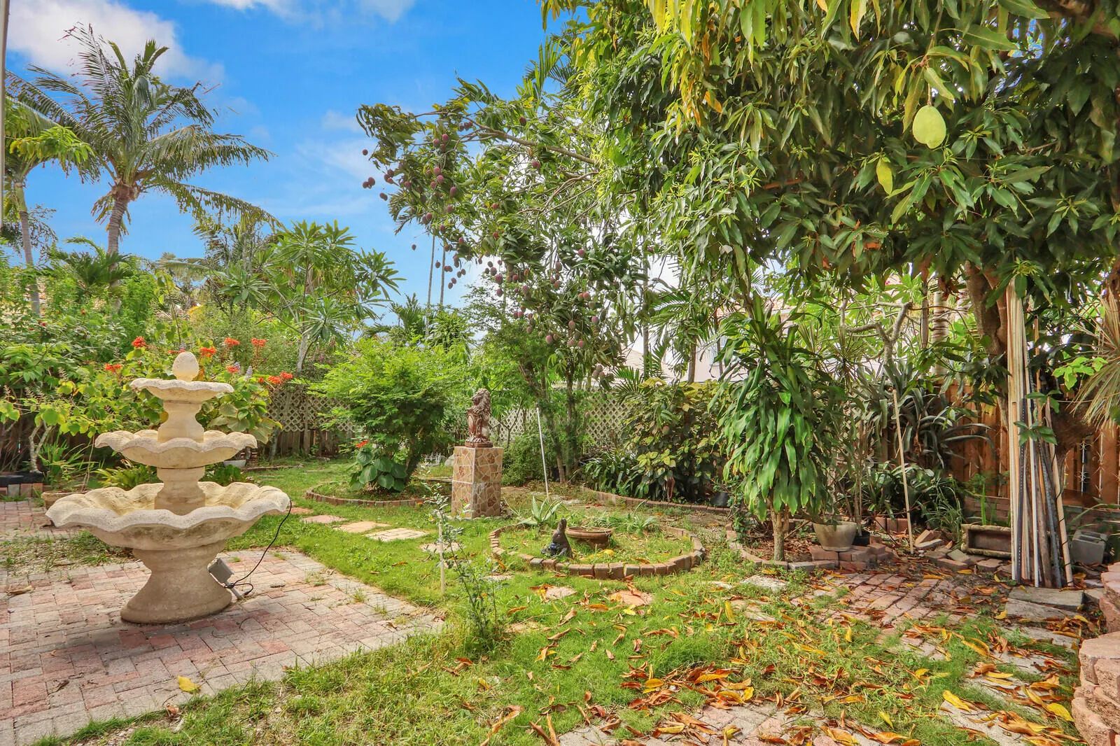 Spacious Backyard