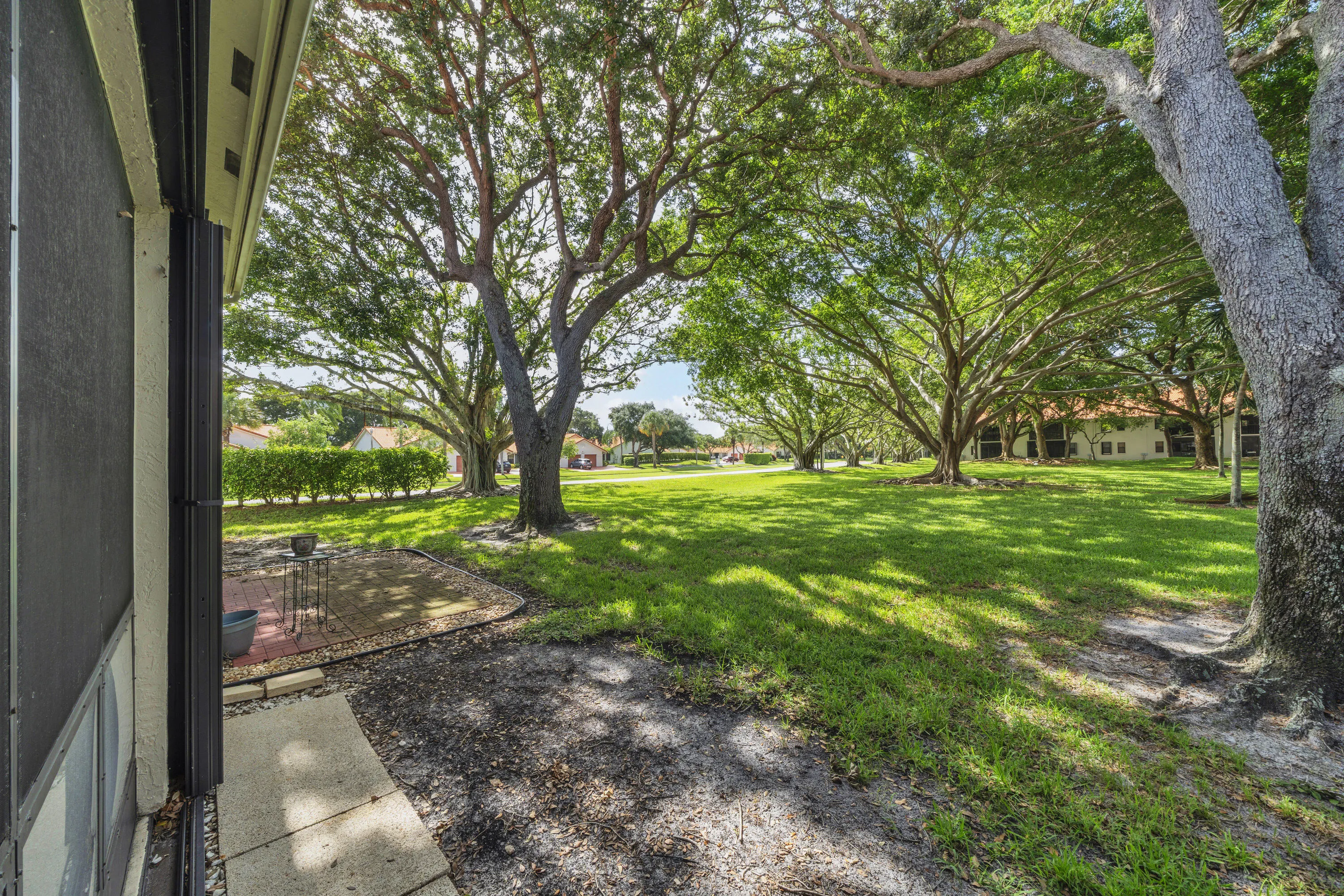 12 Backyard (1)