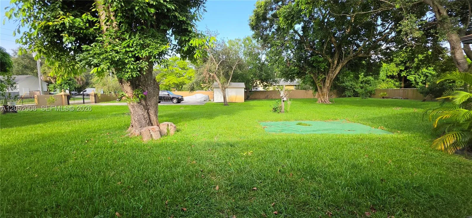 Photo 45