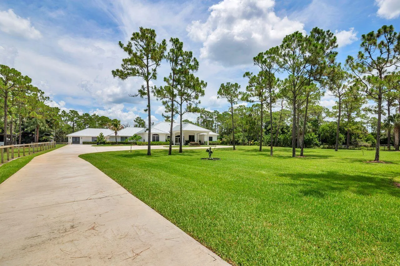 Expansive concrete driveway leading to a residence with a white exterior, multiple tall evergreen trees, and a substantial grass lawn