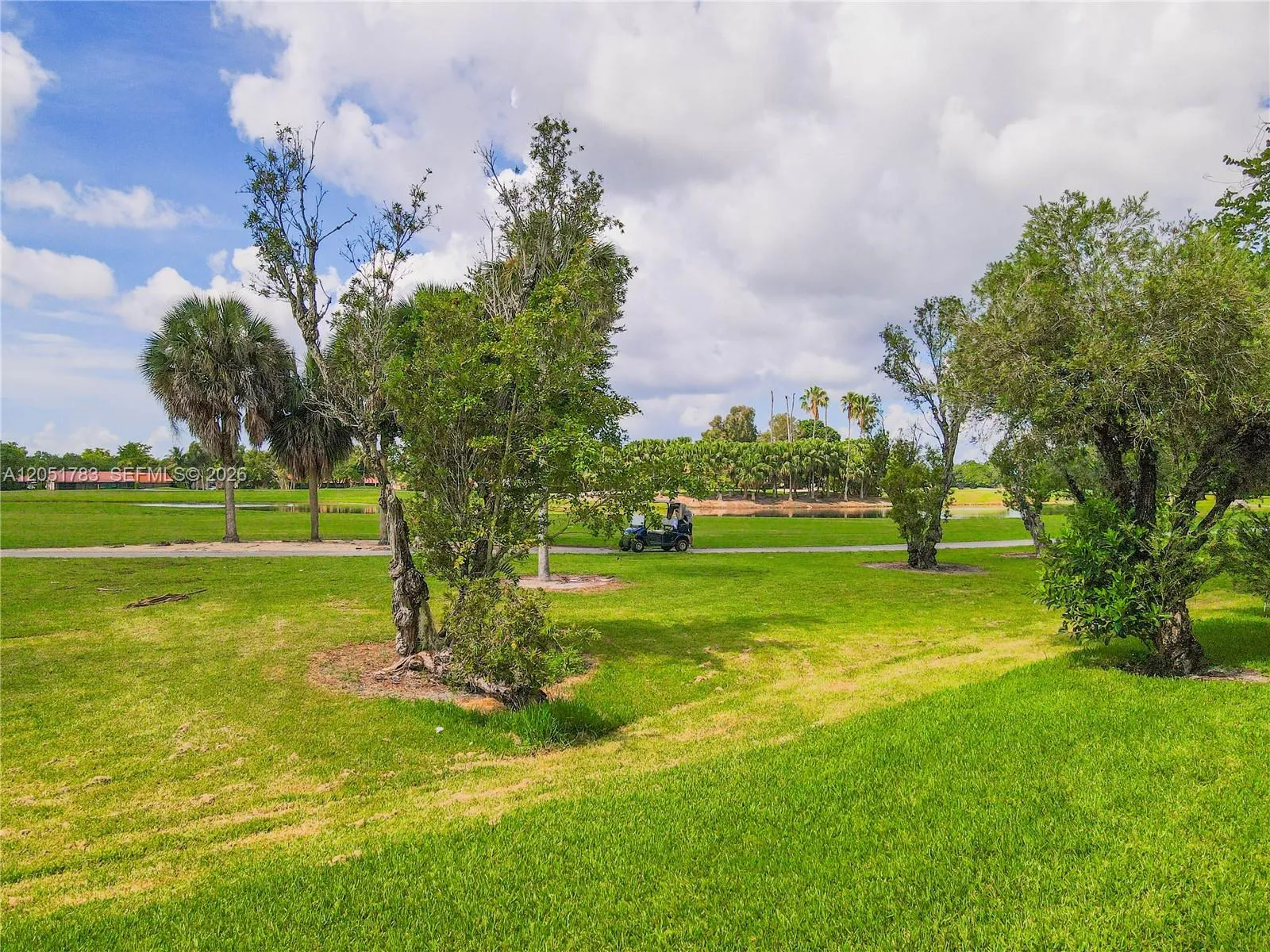 Rear view overlooking the golf course