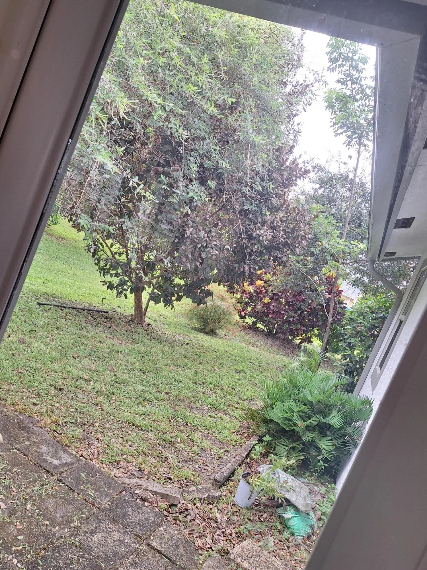 Impact glass patio access door from FL room addition in 2012,