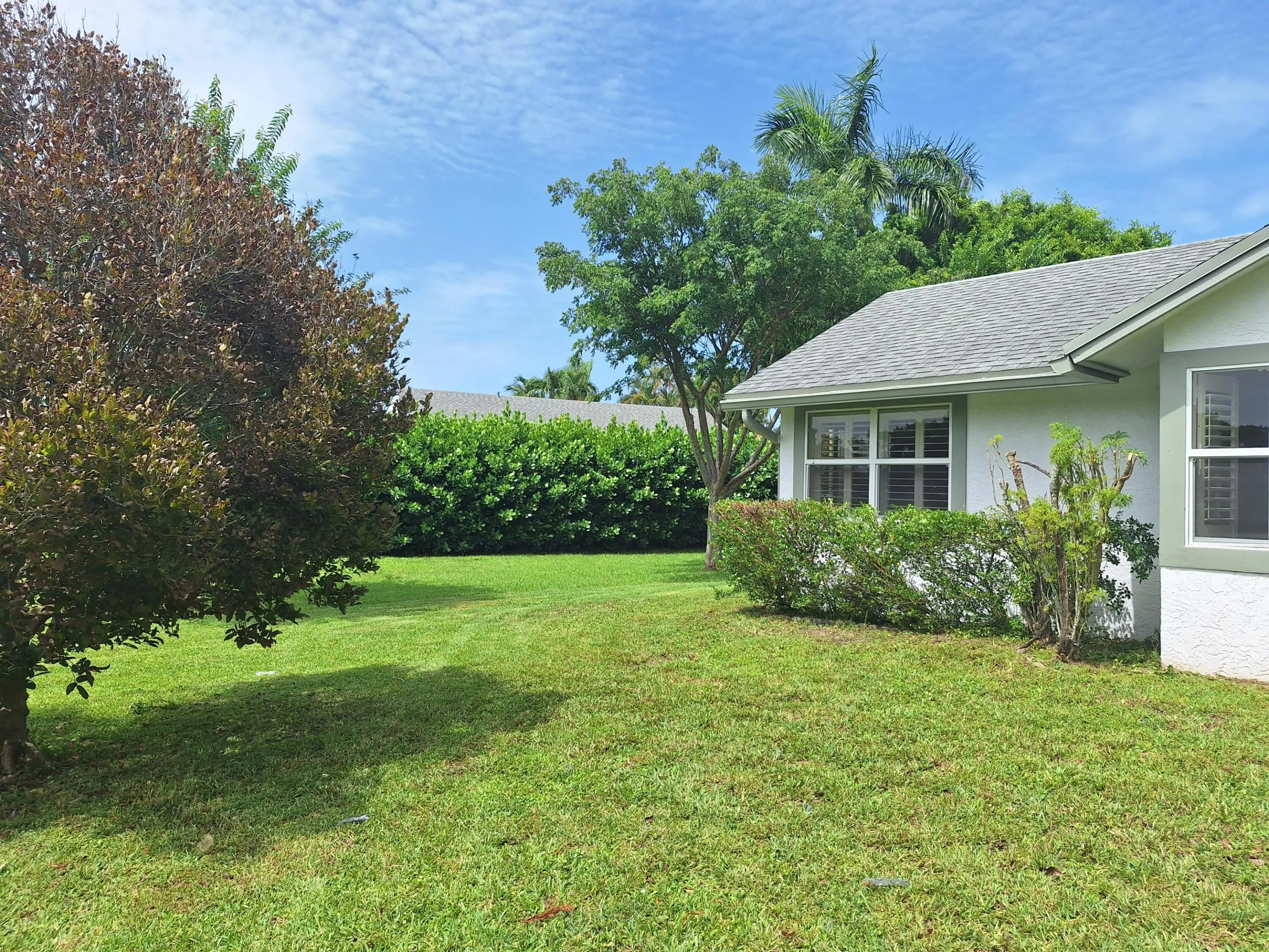 Side/back yard