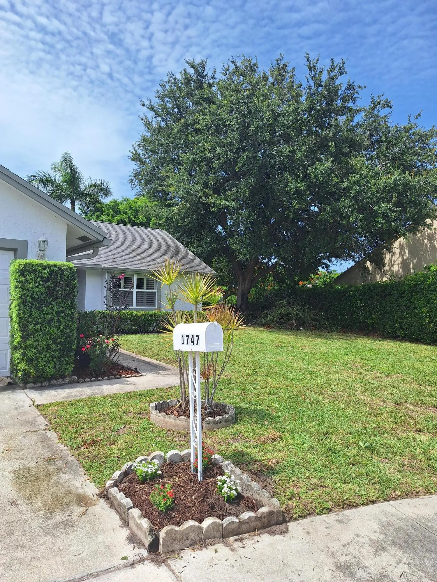 Front yard