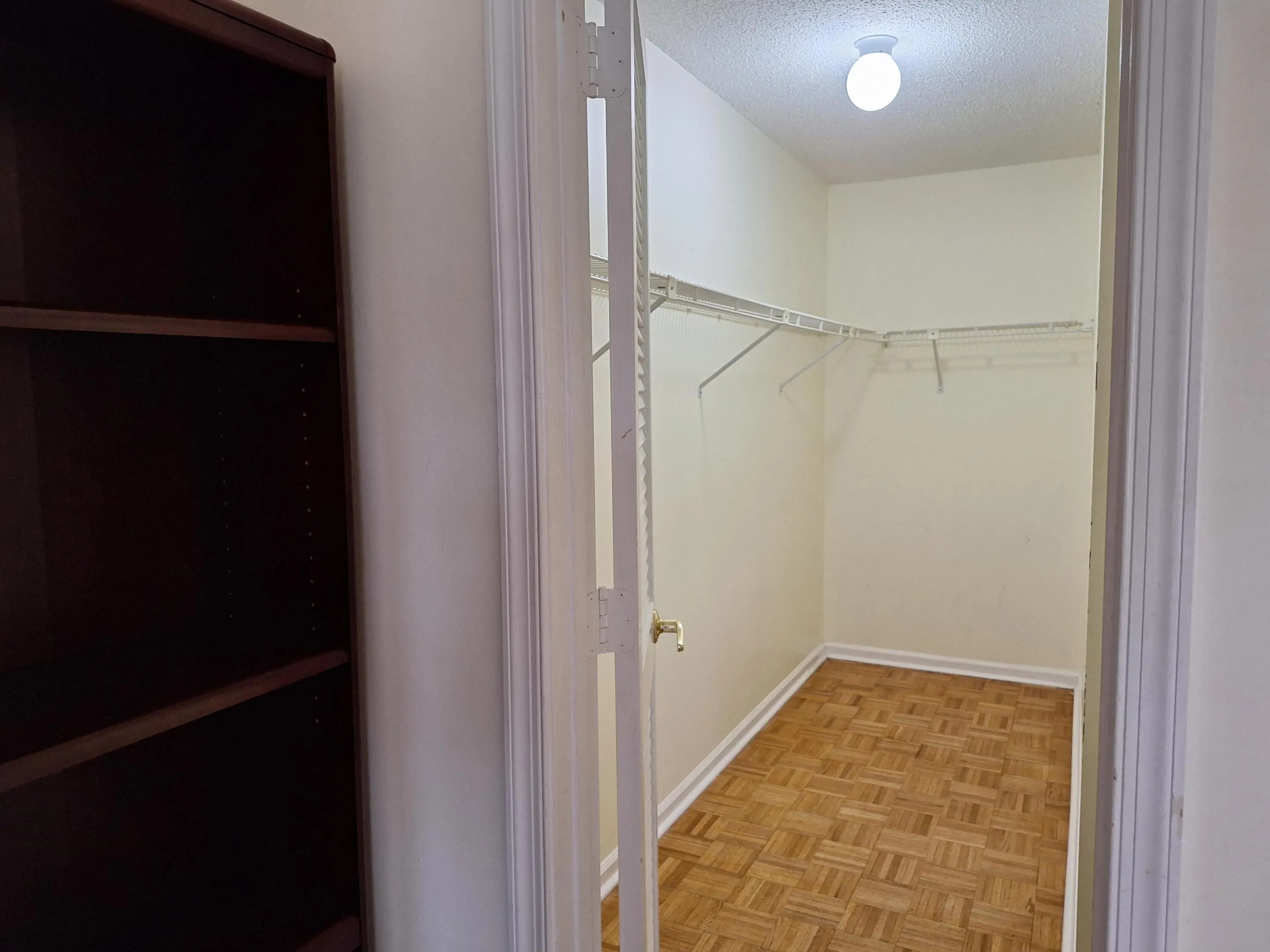 Bookcase and walk-in master bedroom closet