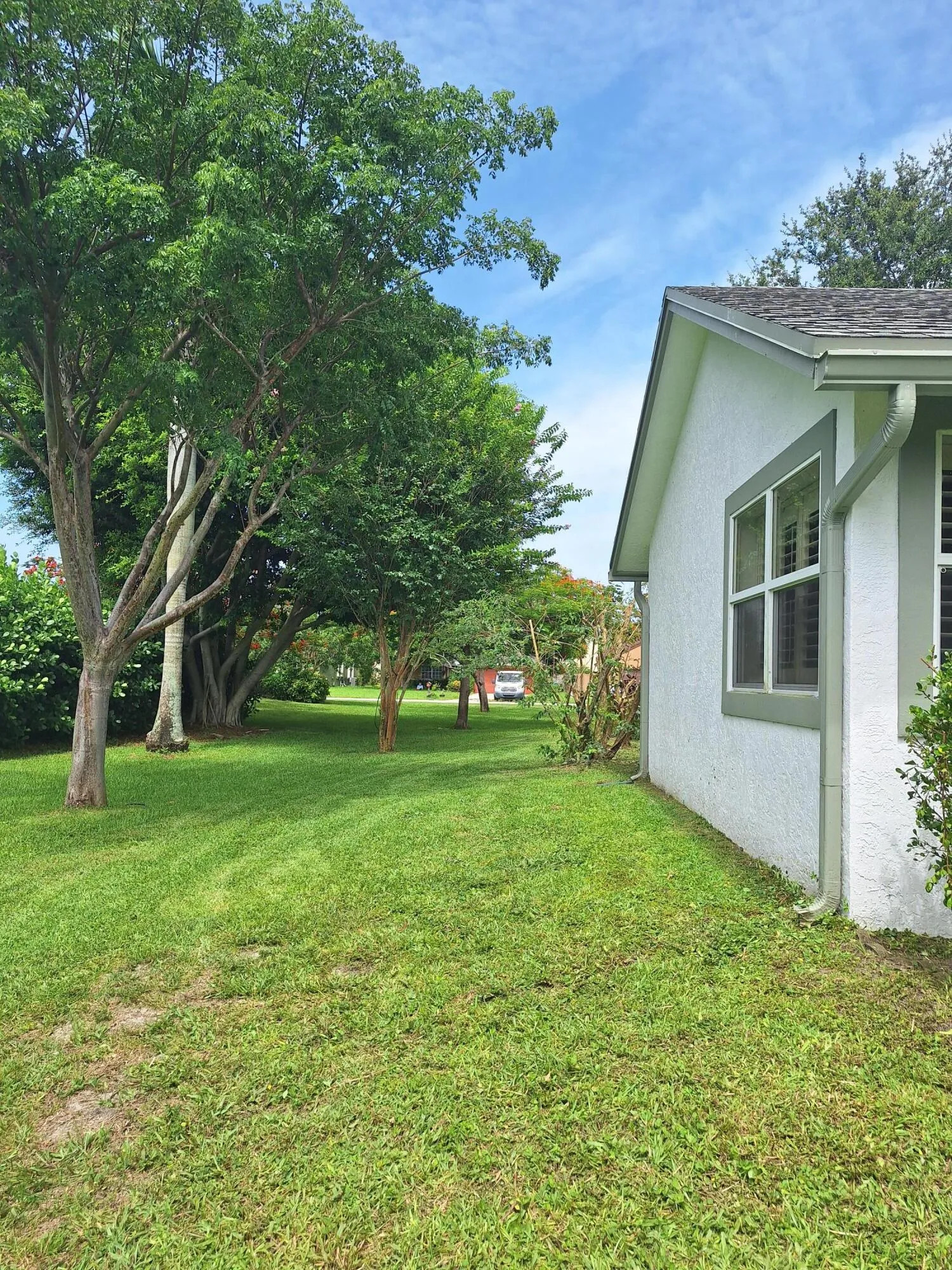 Left side association (trees) and parcel property.