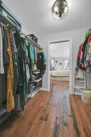 Walk-in closet with wood-finish flooring, wire shelving systems, and a modern ceiling light fixture