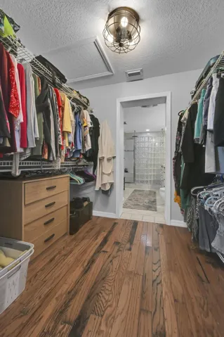 Walk-in closet featuring wood-finish flooring, extensive built-in wire shelving, and a modern industrial-style ceiling light fixture