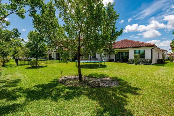 back yard