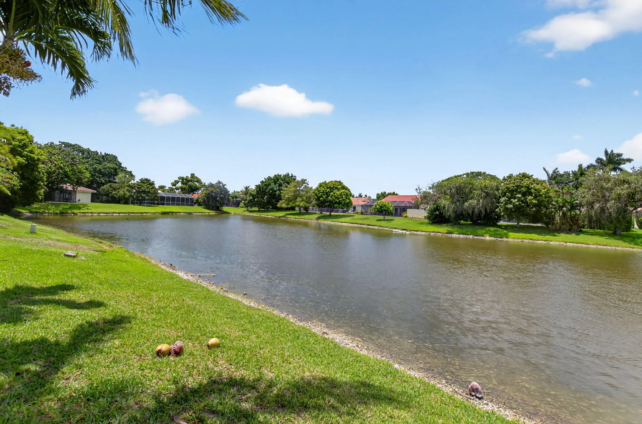 Property photo 42