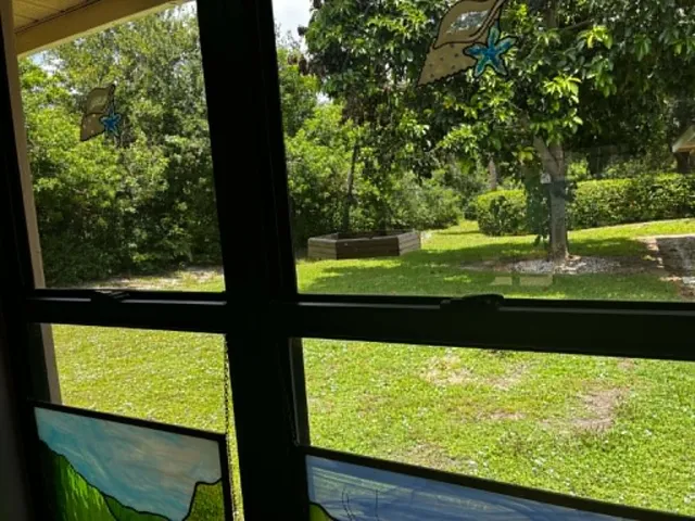 View from Kitchen