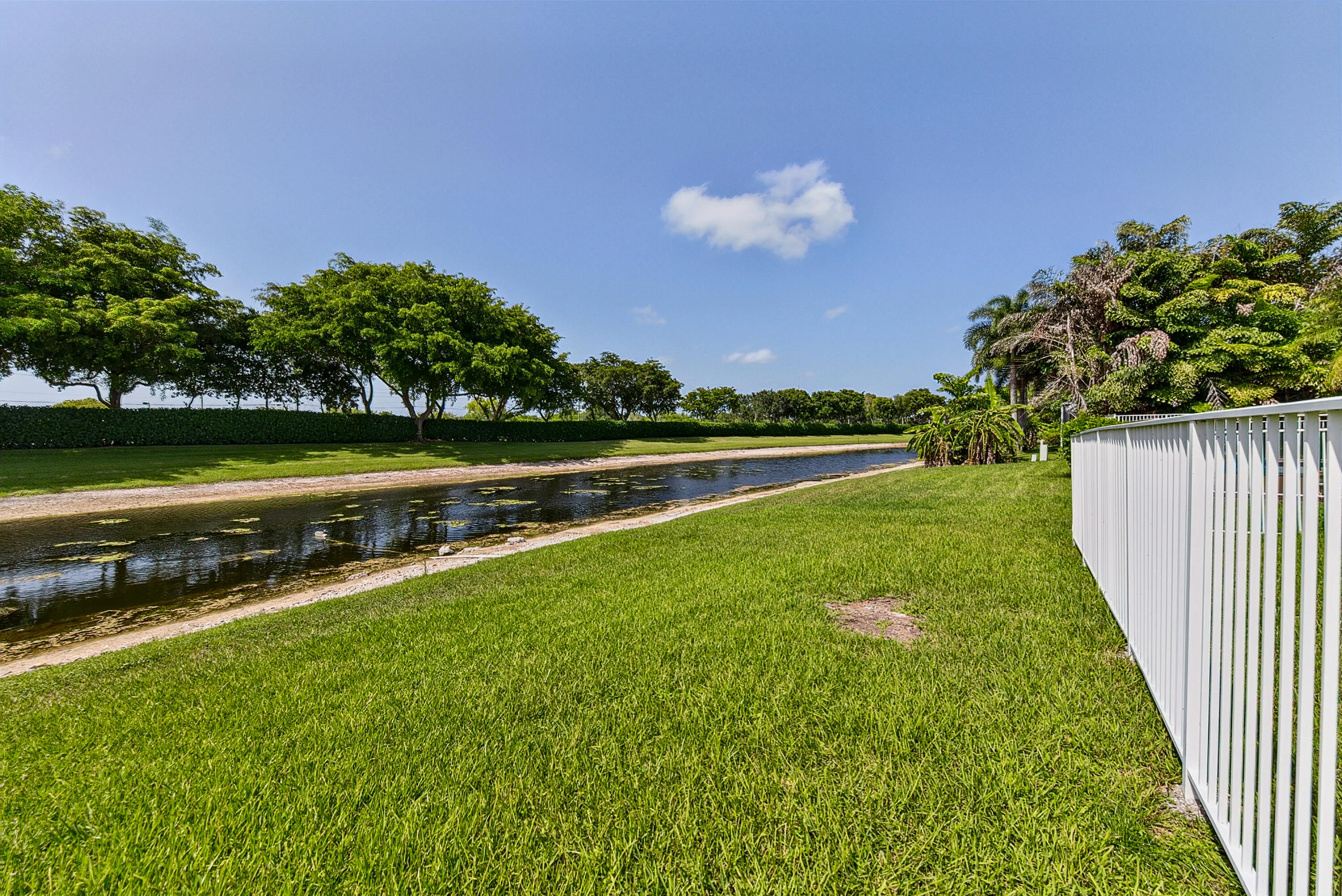 Lake fiew